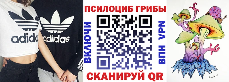 цены наркотик  Новочеркасск  Псилоцибиновые грибы прущие грибы 